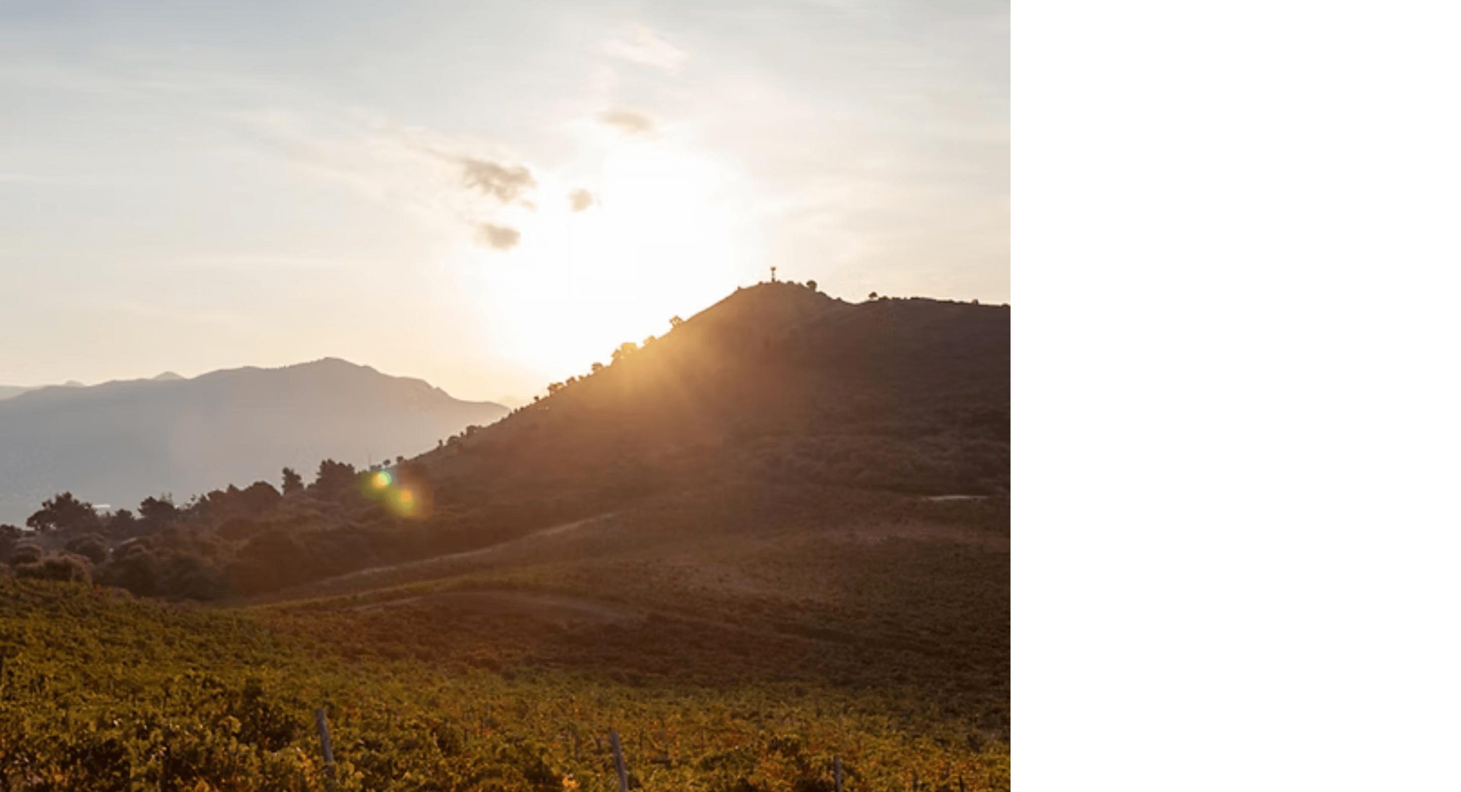 Domaine Comte Peraldi